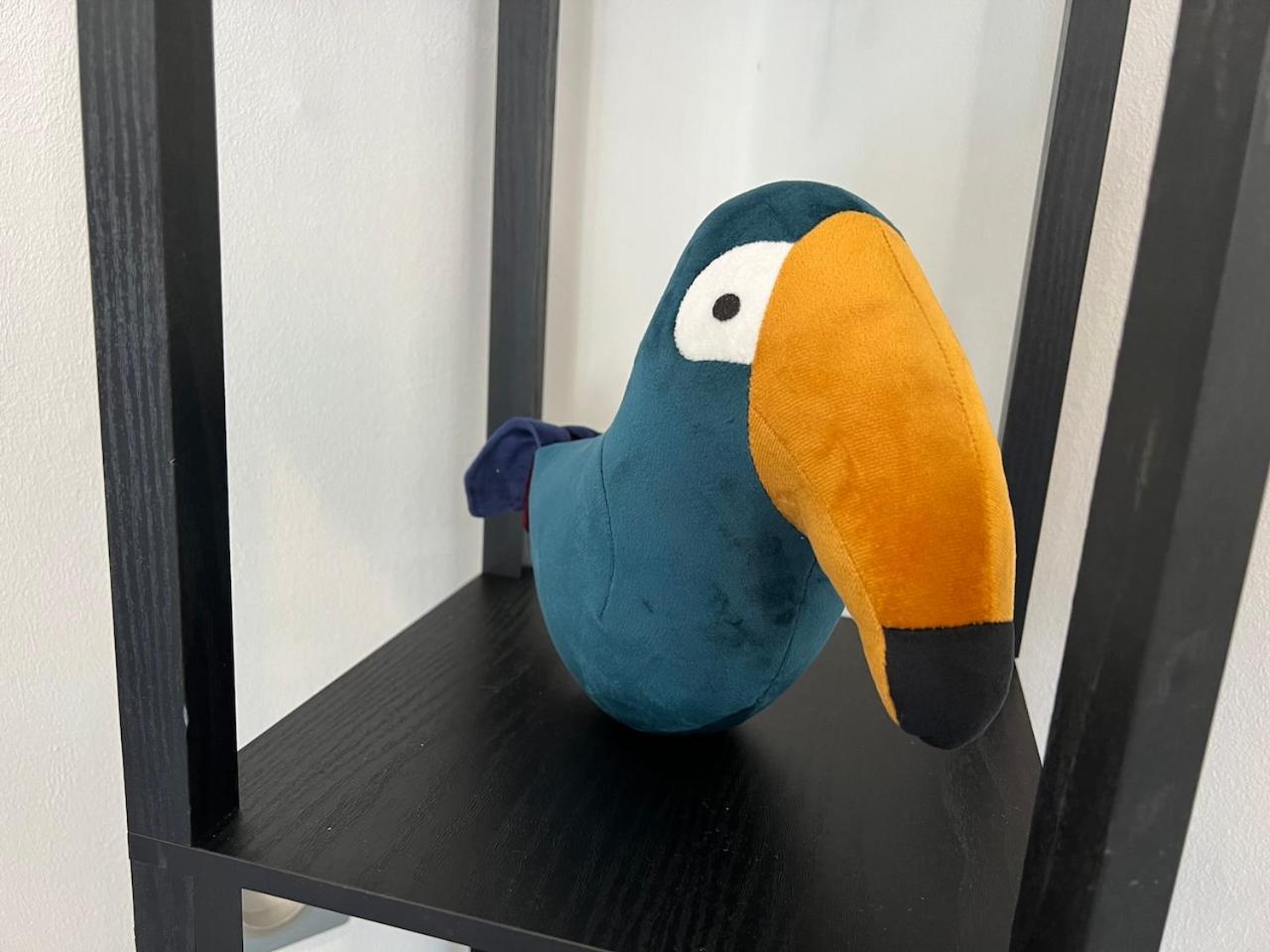 Studio Le Petit Pelican Châtenois Extérieur photo