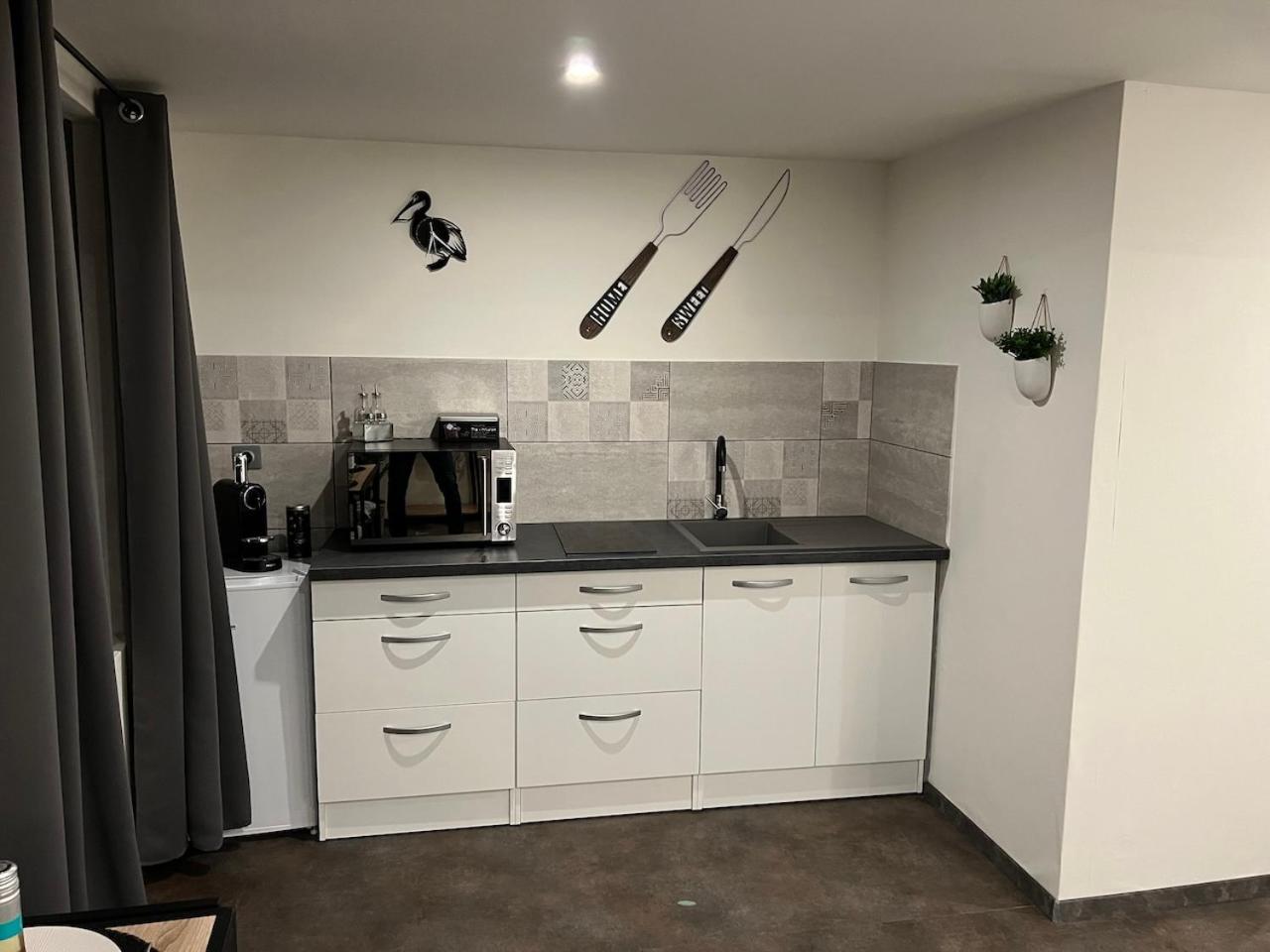 Studio Le Petit Pelican Châtenois Extérieur photo